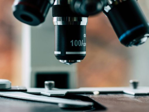 Attribution de la bourse de recherche CNPIA 2025